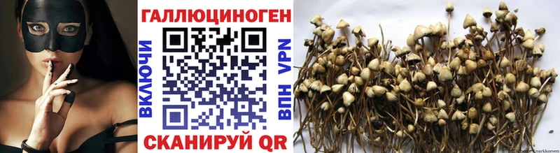 Псилоцибиновые грибы GOLDEN TEACHER Усмань